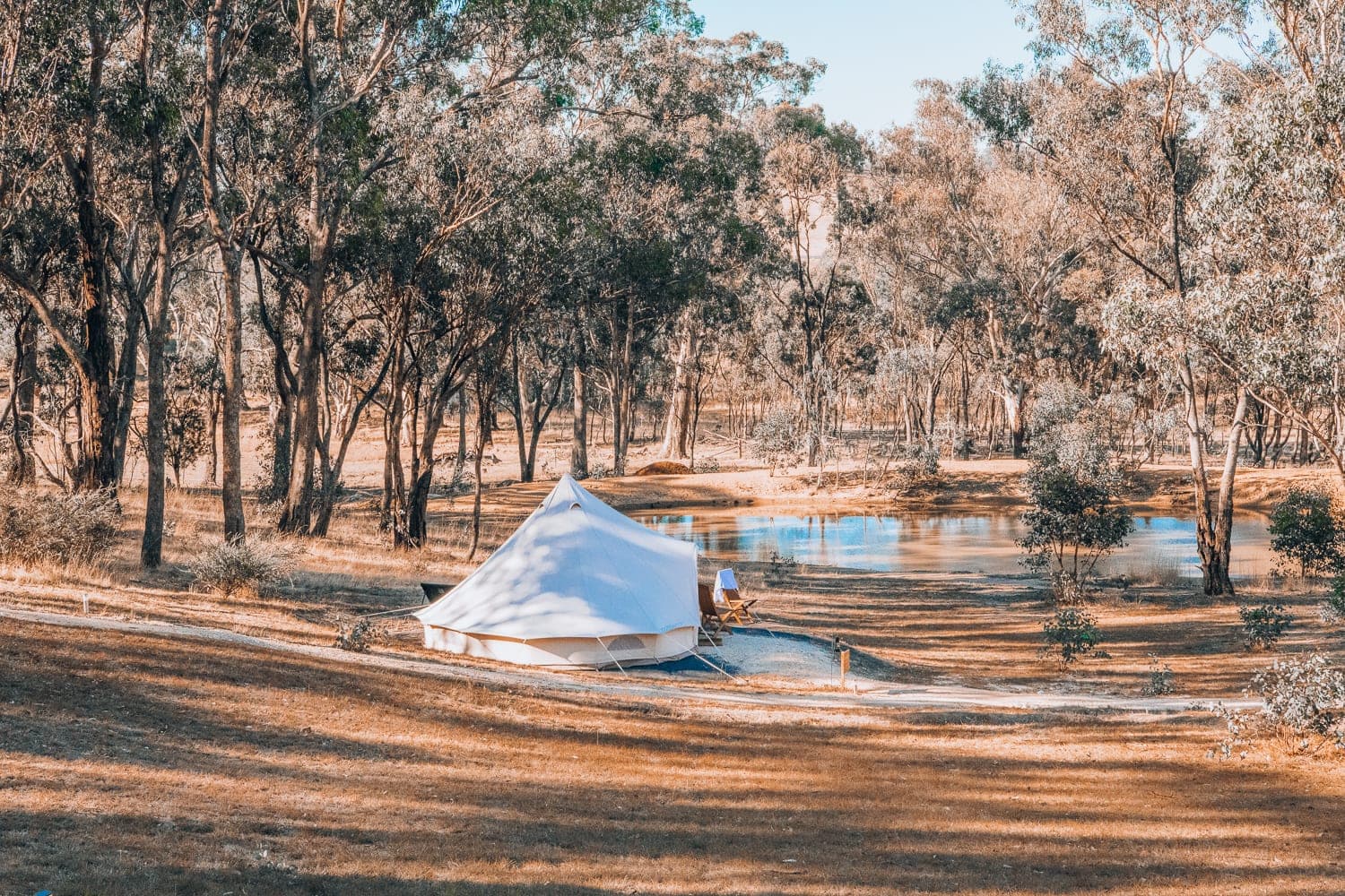 A bell tent in dappled sun, the bush close around it