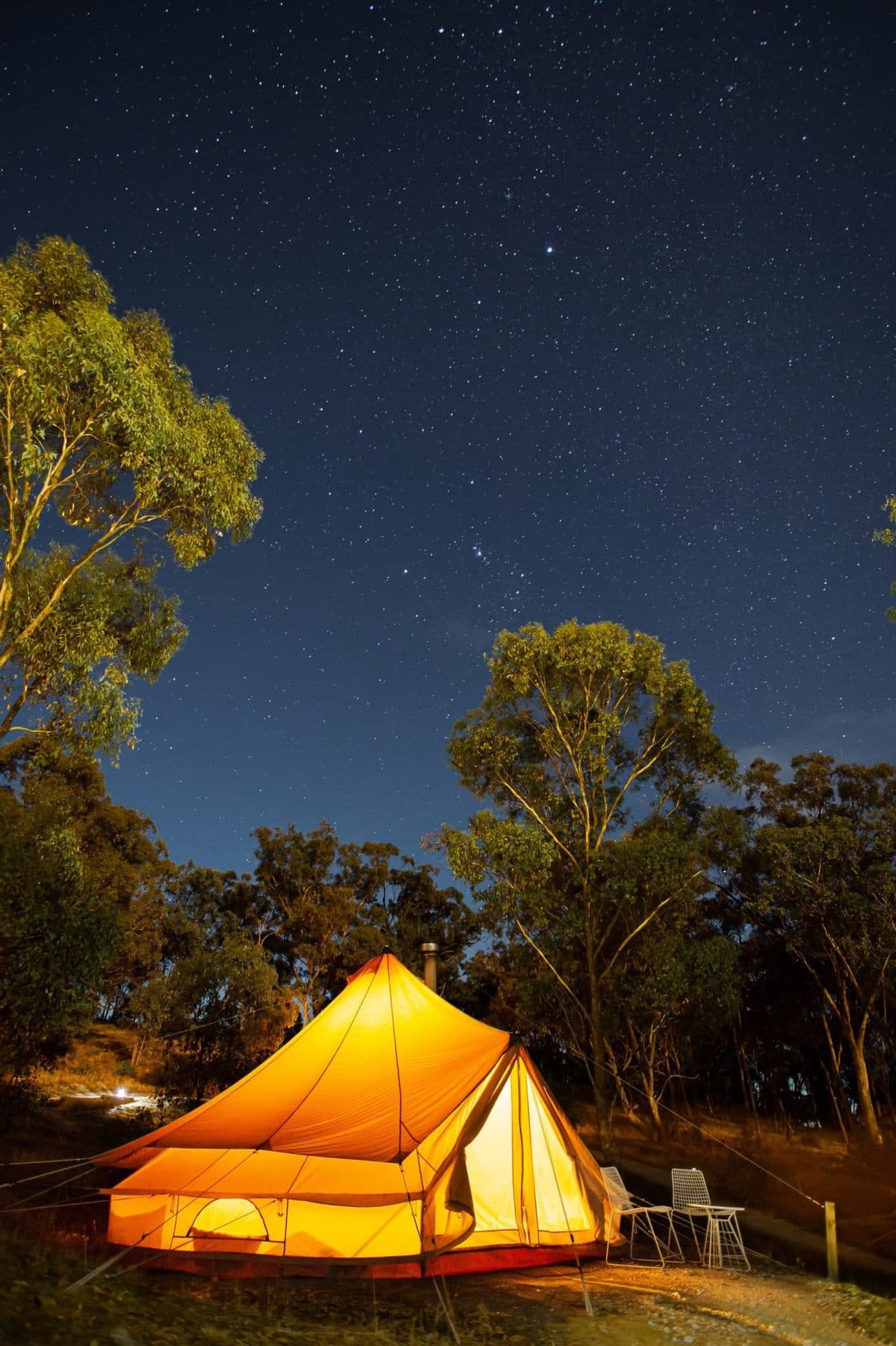 Stars over the gums after dark