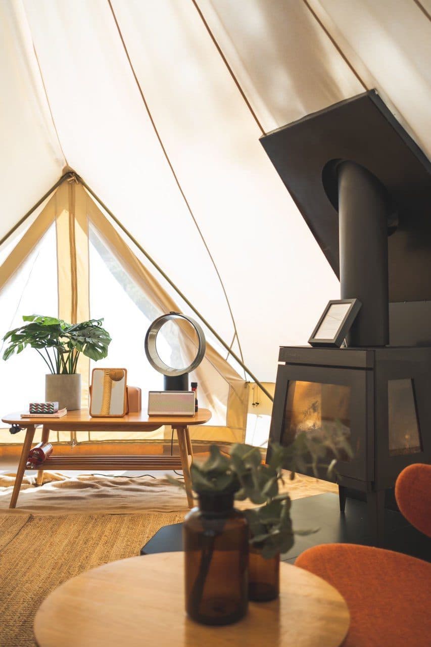 The side table inside a tent: the Dyson fan, a Bose speaker and a pot plant