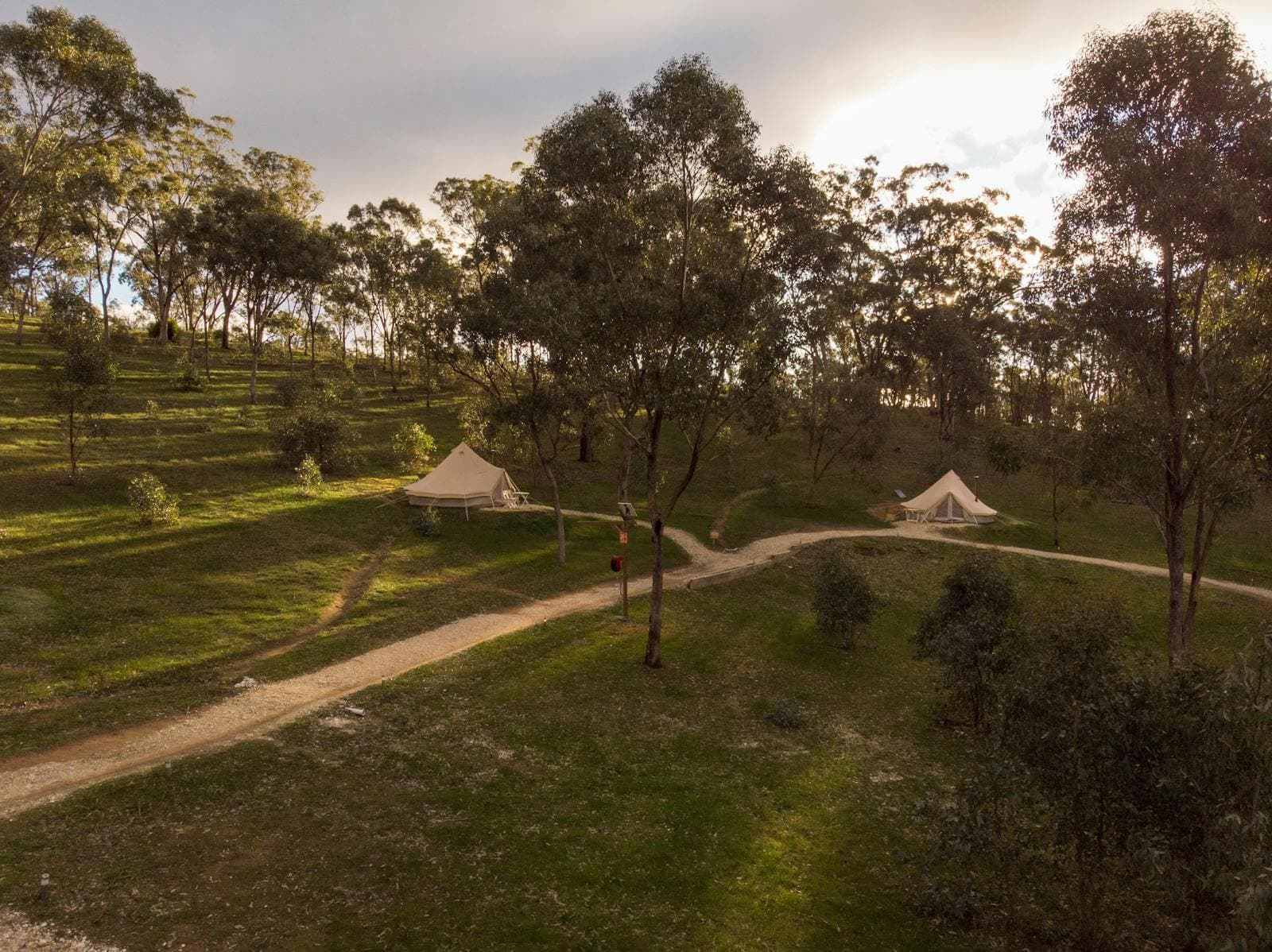 Looking across the campground: tents spaced out between the gum trees