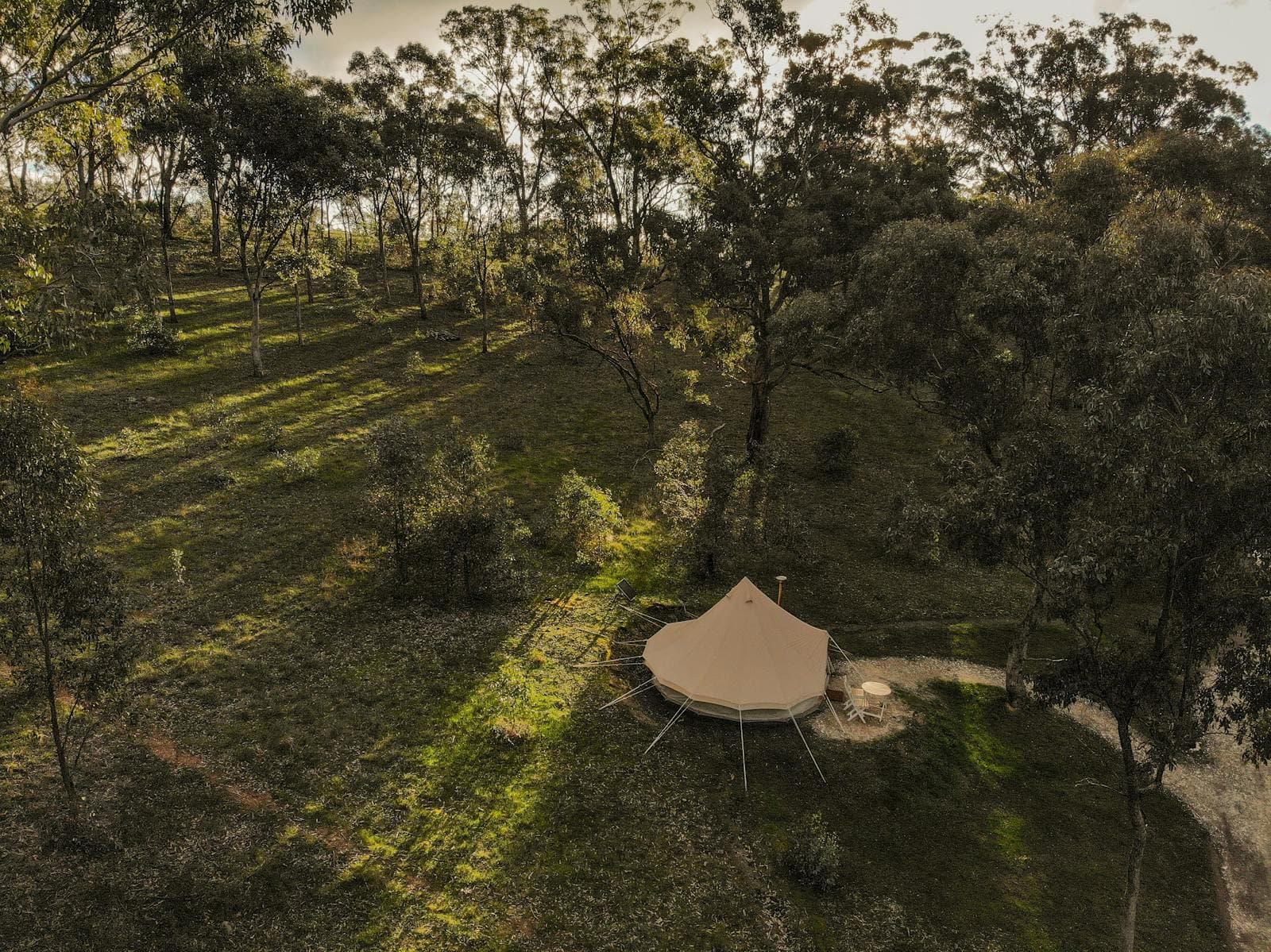 A bell tent among the gums, seen from the hill above
