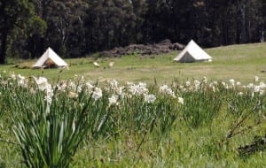 Cosy Tents Spring Glamping
